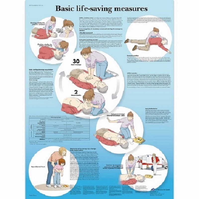 Anatomie poster reanimatie