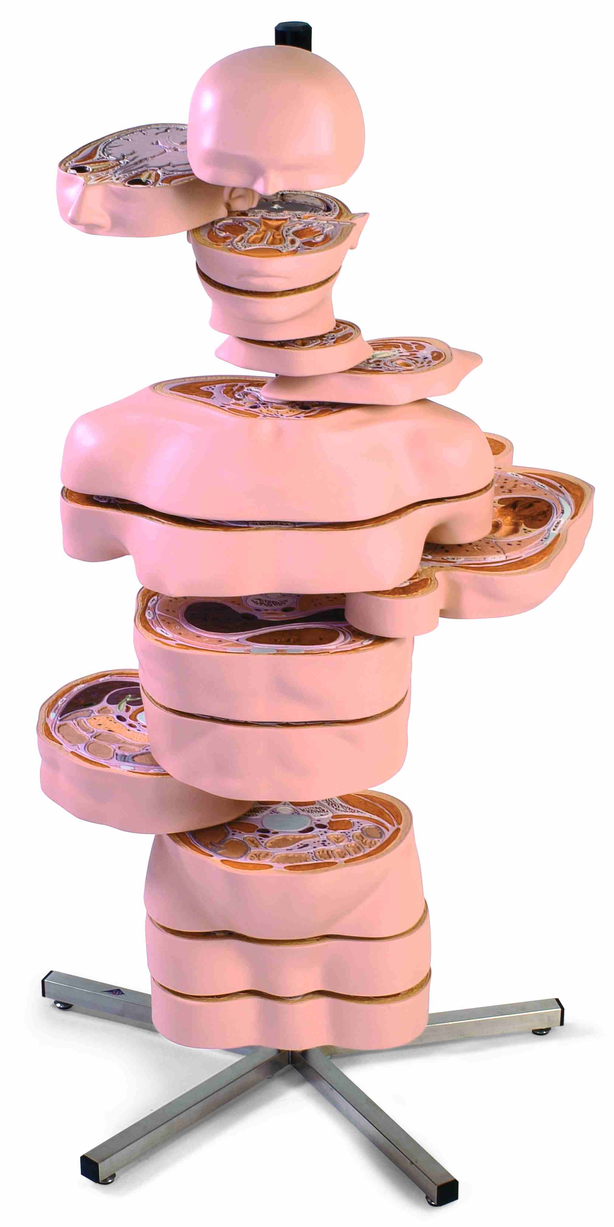 Torso Disc, 15-delig