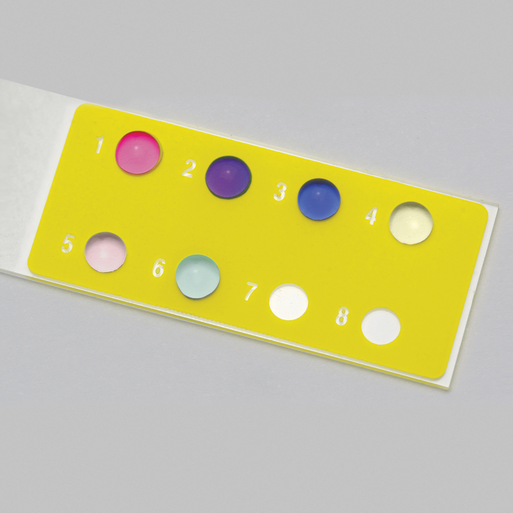 DNA Chips: Genes to Disease Kit
