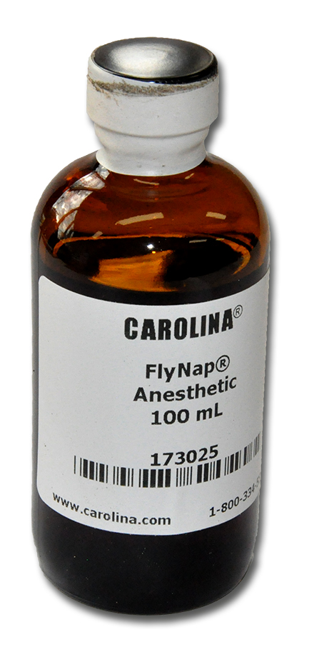 Flynap 100ml