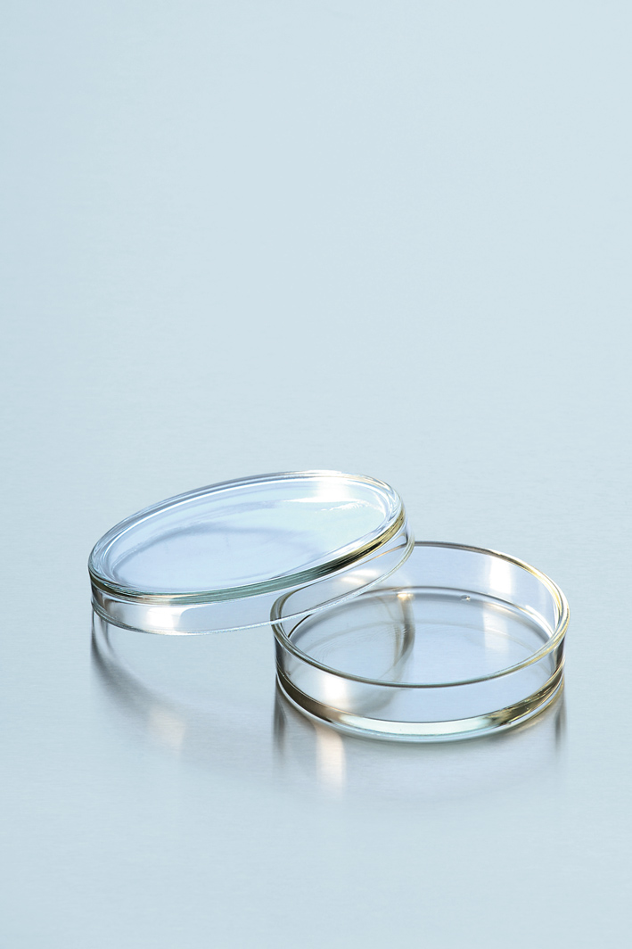 PETRISCHAAL 100X20MM, DURAN GLAS