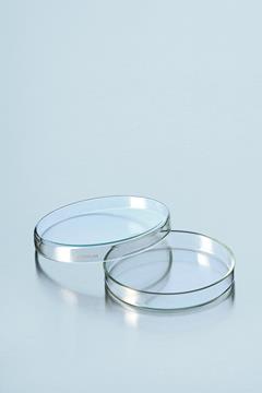 Petrischaal 40 x 12 mm AR glas