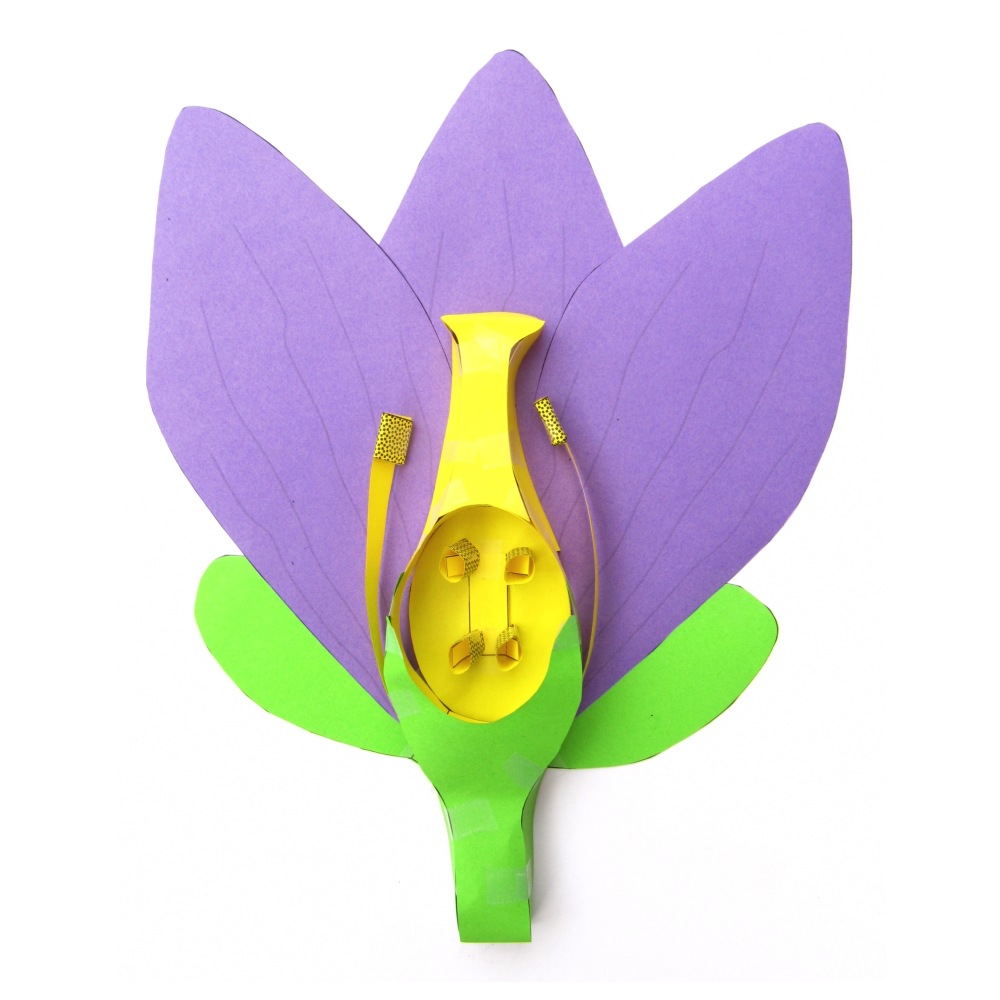 Bloemen