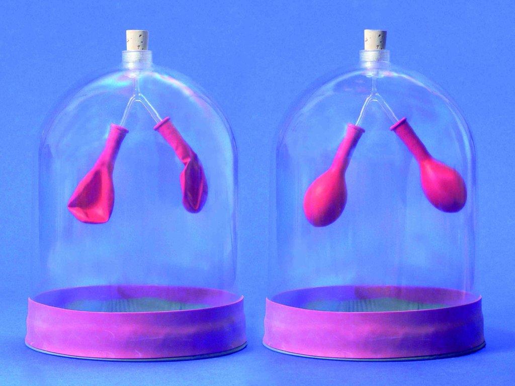 Longfunctie model