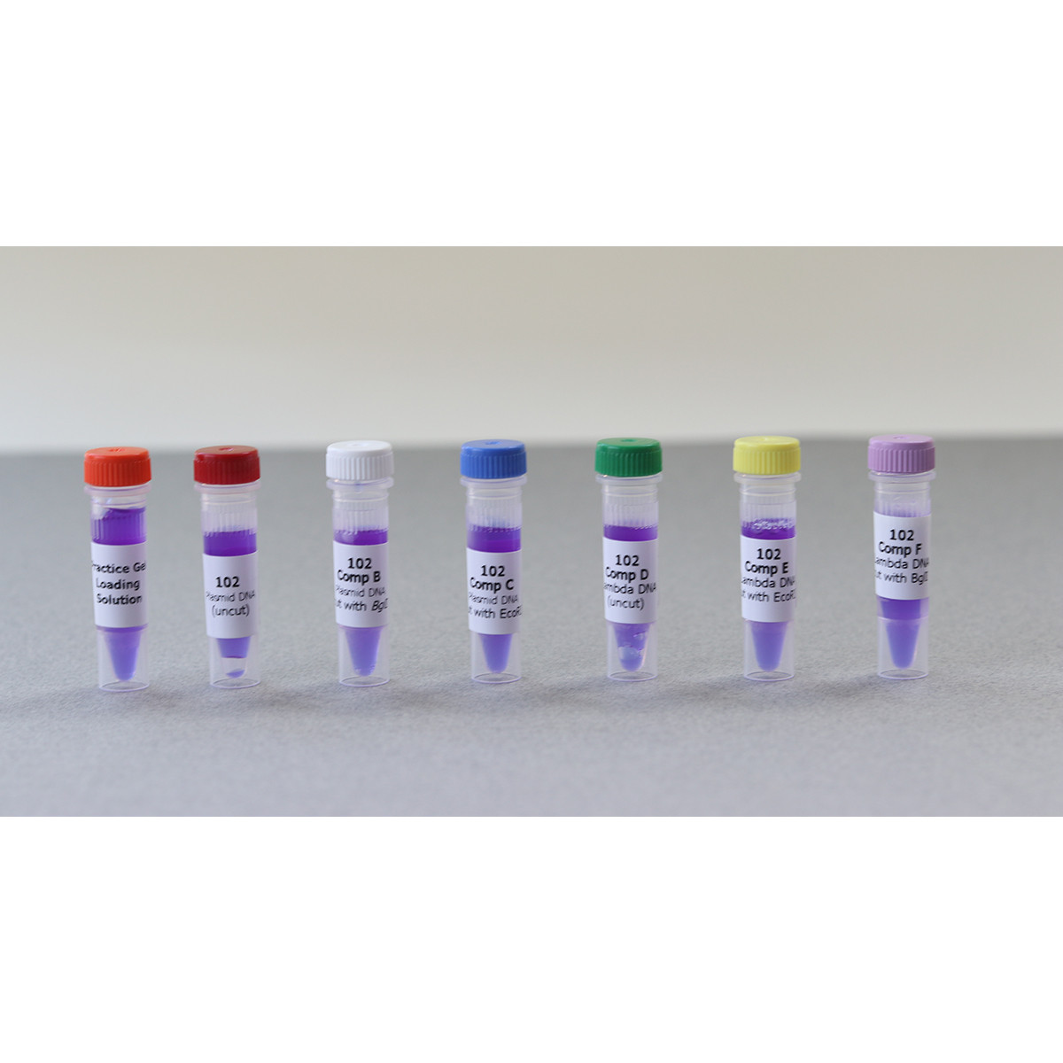Bulk navulling (24 groepen) - Expt. 102
