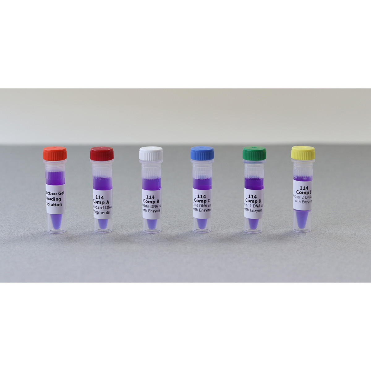 DNA-monsters voor 24 gels  - Expt. 114