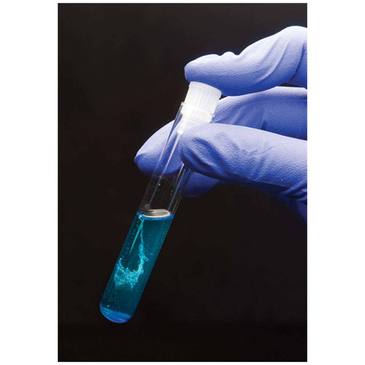 Edvotek Genes in a Tube™