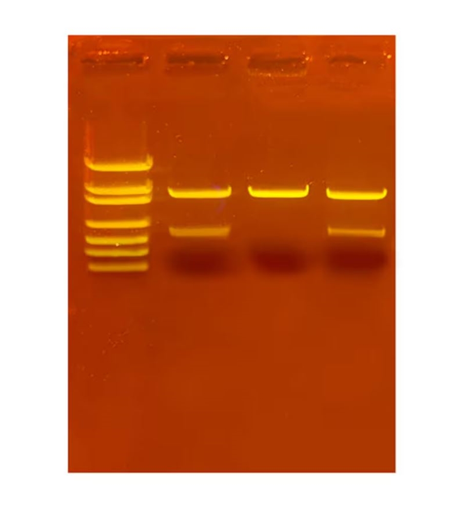 Forensische Escape Room