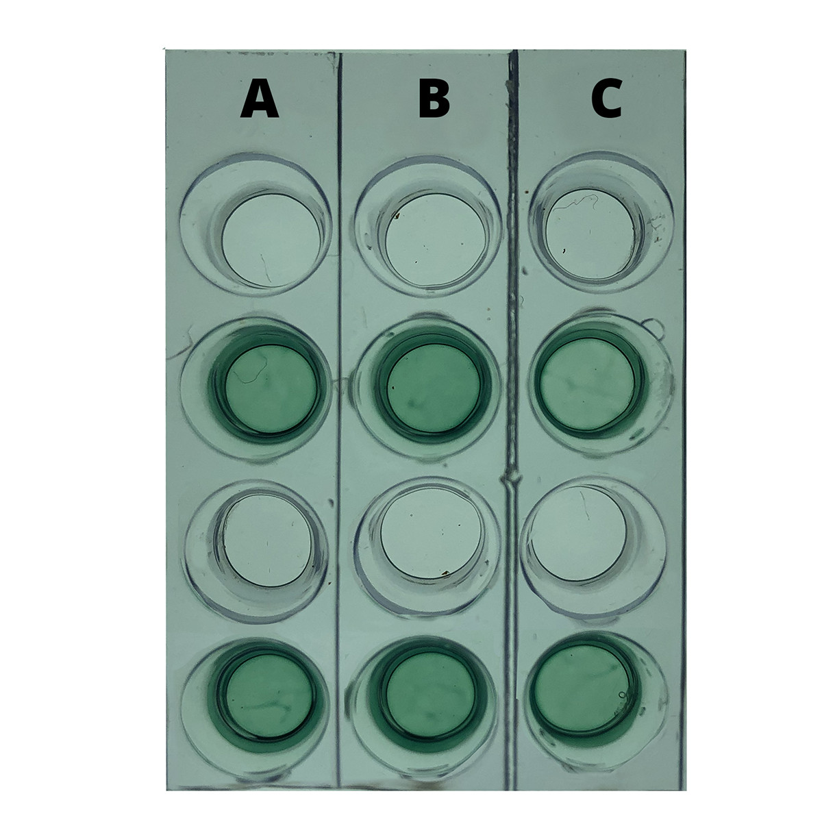 Enzym gekoppelde ELISA Diagnostiek