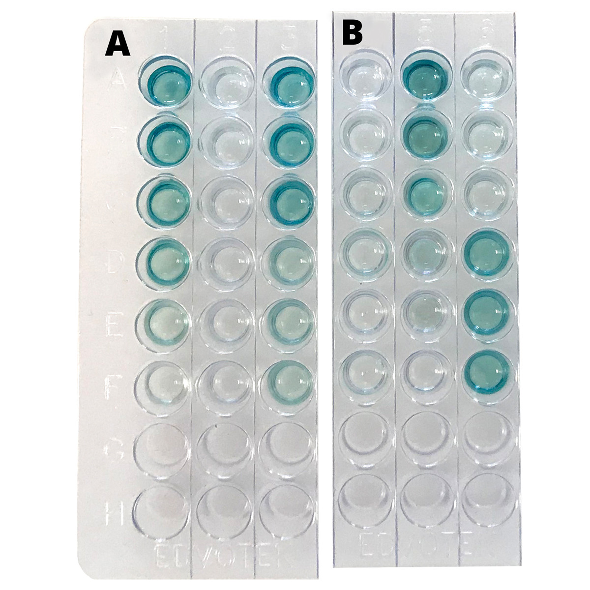 Kwantitatieve ELISA