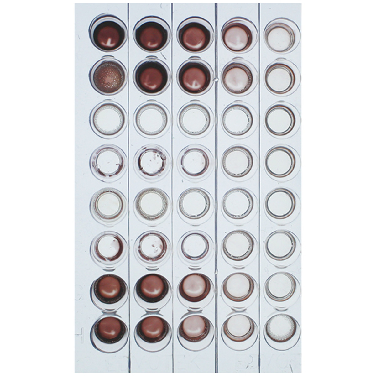 Kwantitatieve ELISA
