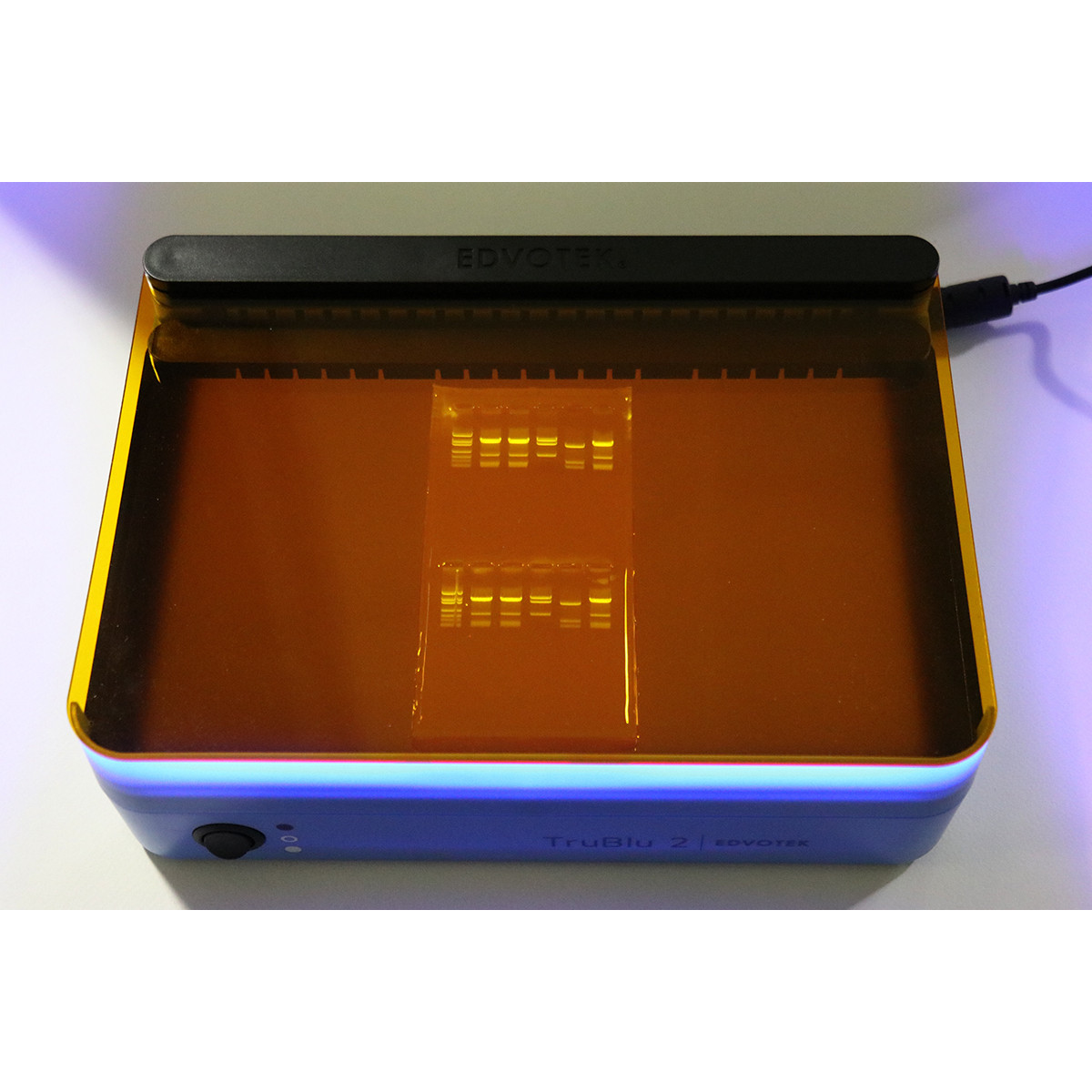 SYBR® Safe DNA Stain