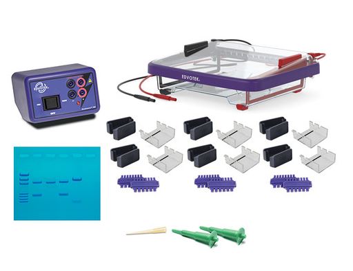 Classroom DNA Electrophoresis LabStation
