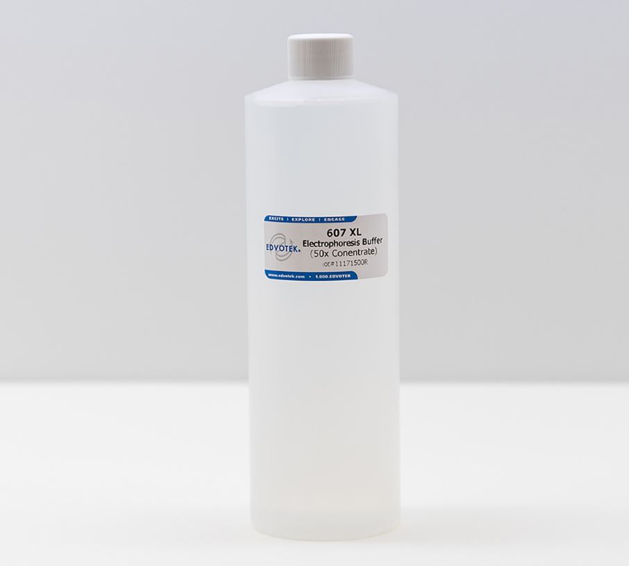 Edvotek Electroforese Buffer TAE 500ml