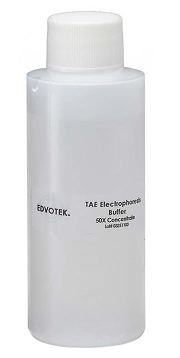 Edvotek Electroforese Buffer TAE 100ml