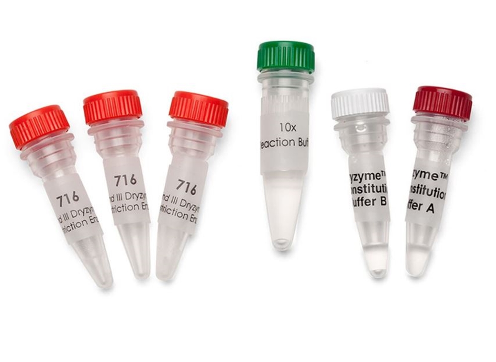Hind III Dryzyme® (1500 units)
