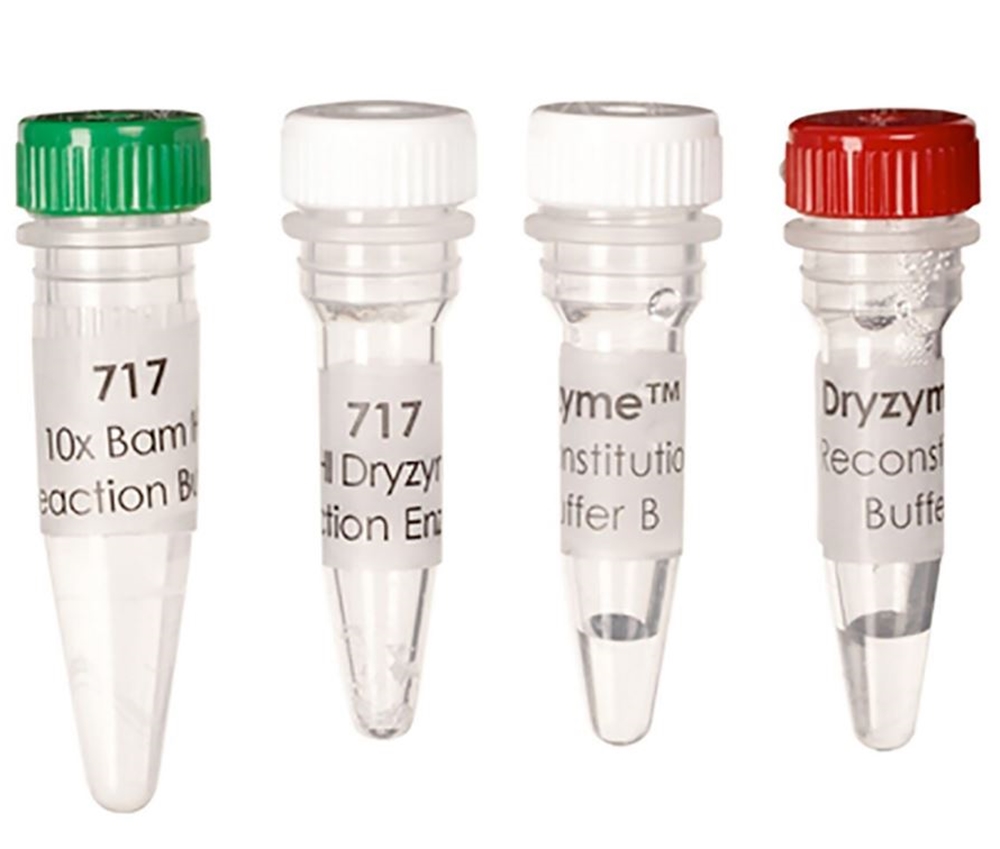 Bam HI Dryzyme® (1500 units)