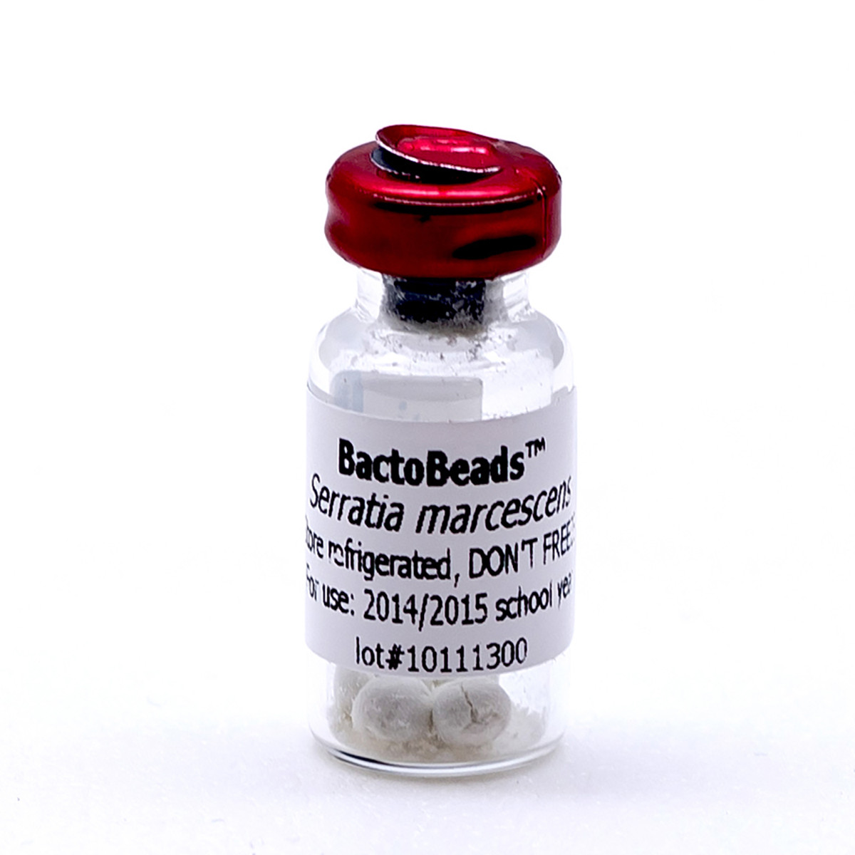 Serratia marcescens BactoBeads™