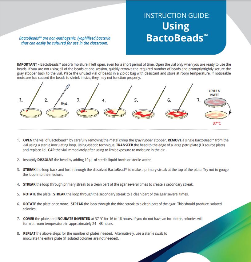 Serratia marcescens BactoBeads™
