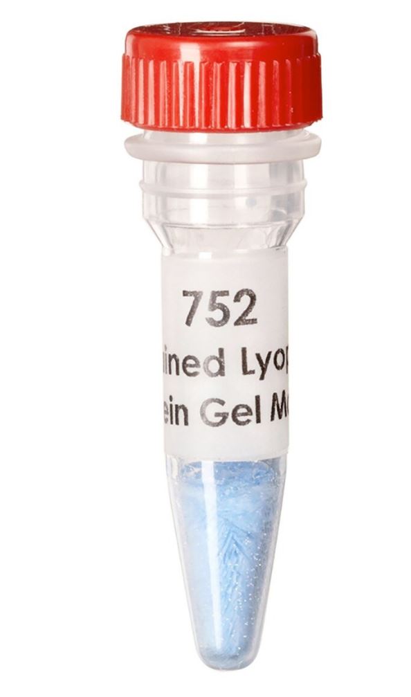 Voorgekleurde gelmarkers voor eiwitten: