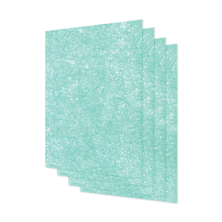 AeraMax Professional AM2 Pre Filter (4pk