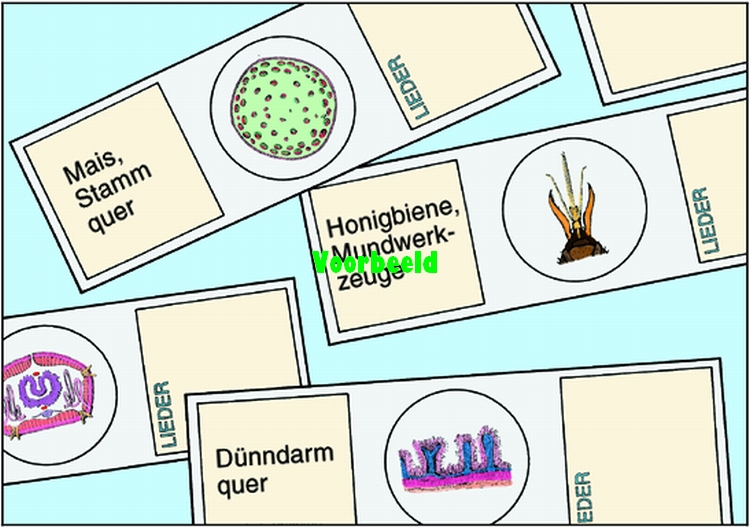 Bacteria, grote set. 50 preparaten