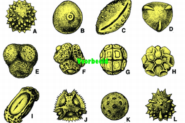 Strooisel pollen