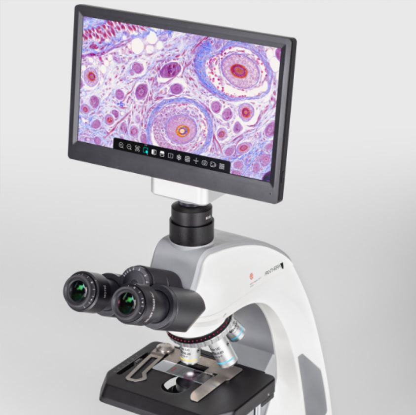 Moticam 1080 BHM