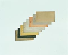 PHYWE koolstofplaatelektrode 76x40mm