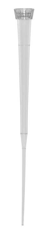 Socorex