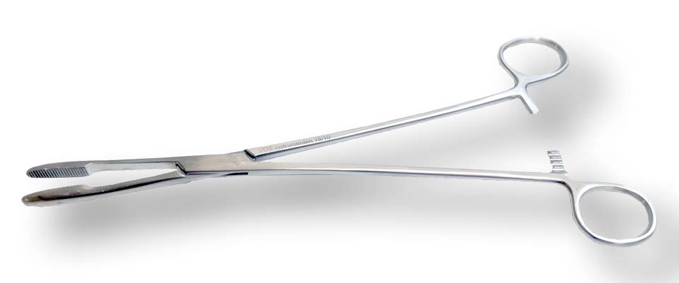 Koorntang Collin 24cm