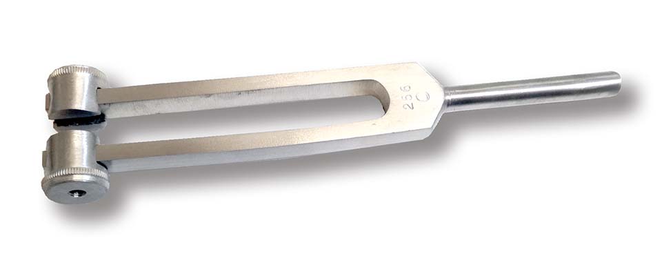 Stemvork C256 voor universeel gebruik