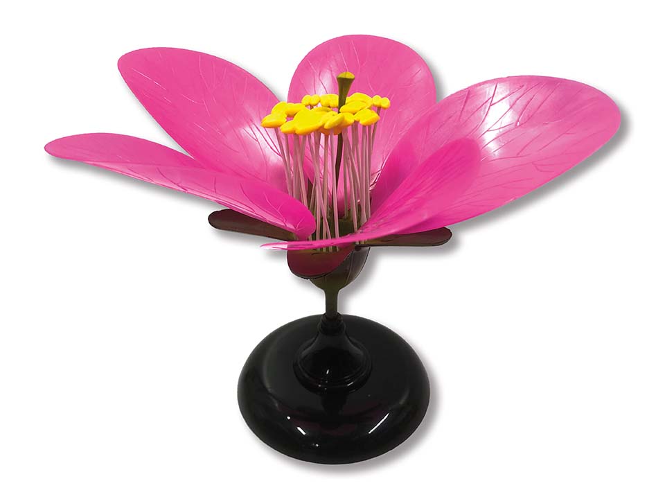 Perzikbloem