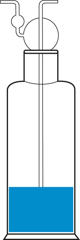 Gaswasfles 250ml