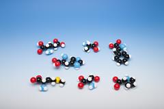 Molymod fotosynthese/ glucose opname