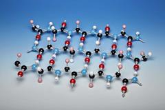 Beta Pleated Sheet Protein Open Model