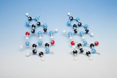 Molymod model DNA open modellen