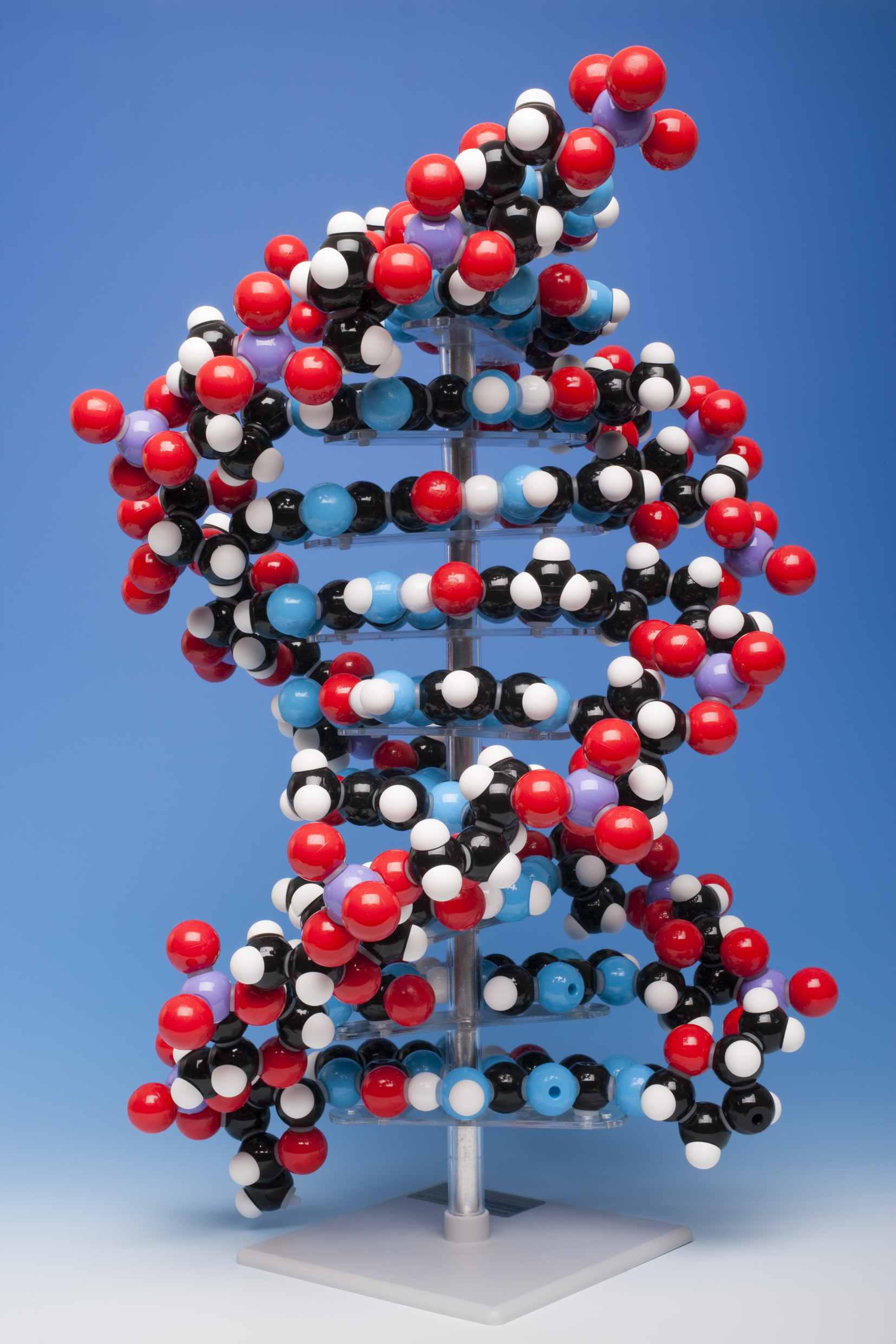 DNA